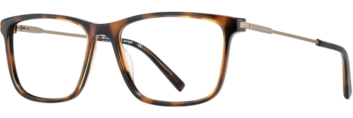 Tortoise / Gold