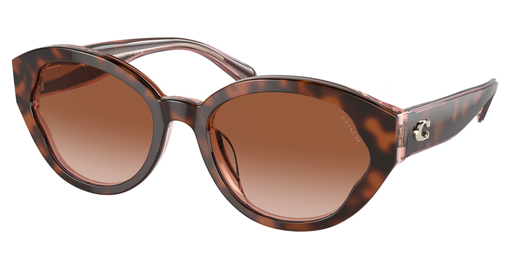 TORTOISE / TRANSPARENT P / BROWN PINK GRADIENT