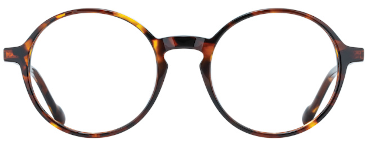Tortoise / Gold
