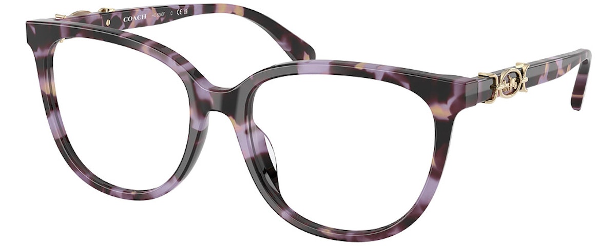 PURPLE TORTOISE