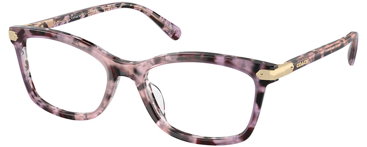 IRIS TORTOISE