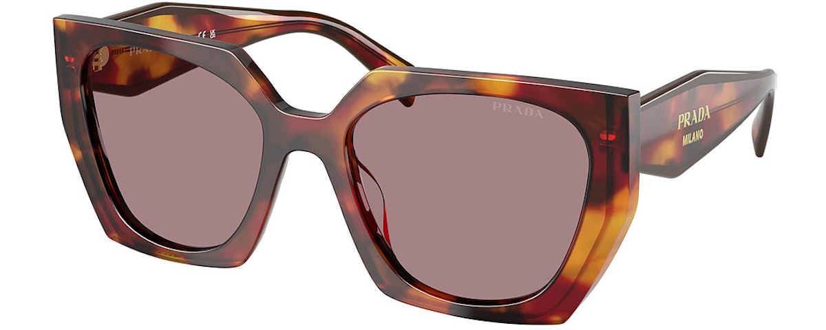 POPPY TORTOISE / LIGHT PURPLE BROWN