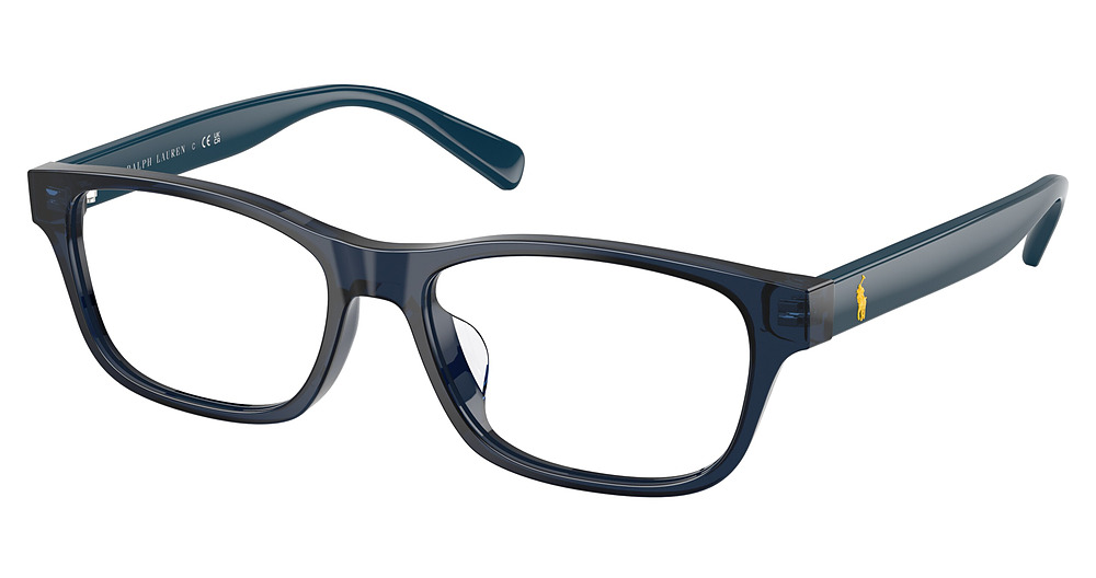 SHINY TRANSPARENT NAVY B