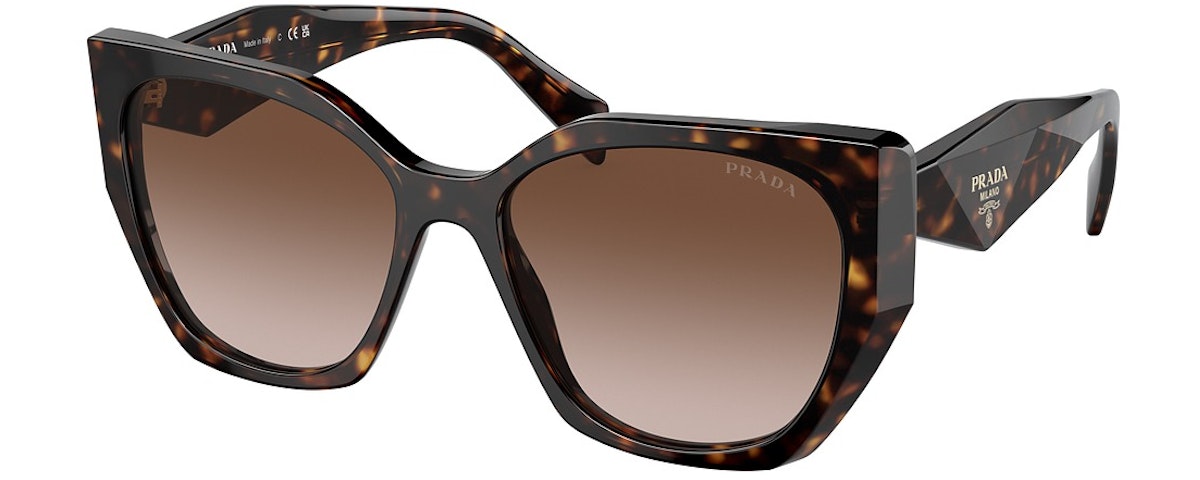 TORTOISE / BROWN GRADIENT