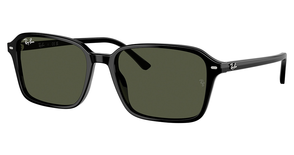 Ray-Ban RB2231F RAIMOND sunglasses in Black/Green