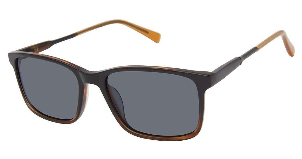 black tortoise