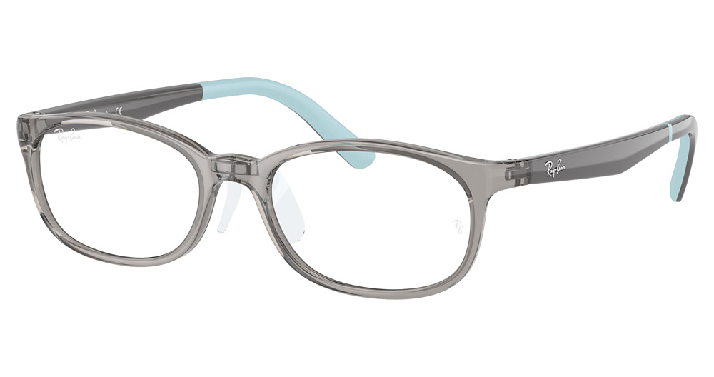 Ray-Ban RY1613D round eyeglasses in Transparent Grey