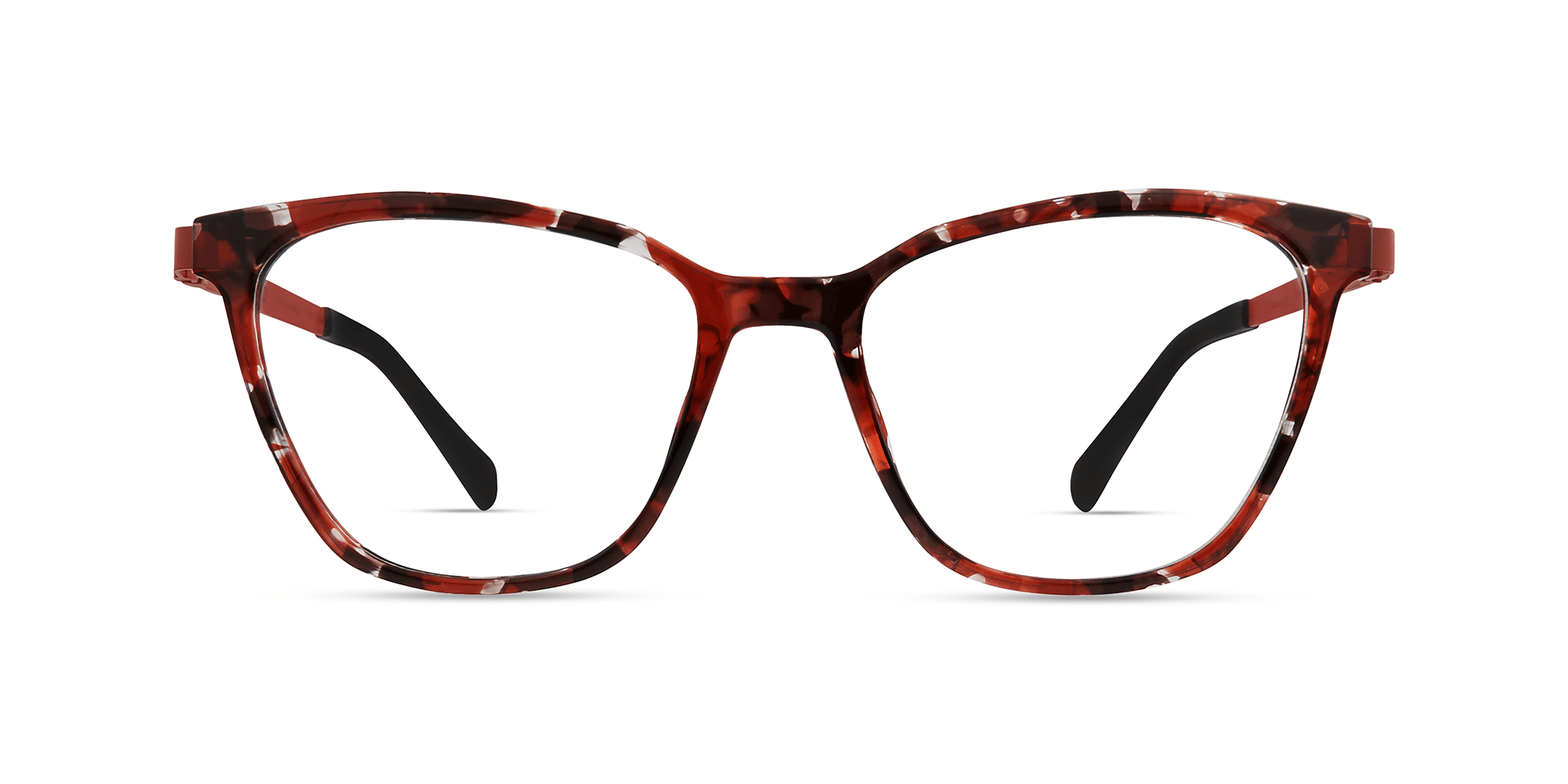 BURGUNDY TORTOISE