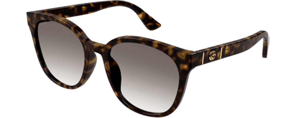HAVANA / BROWN