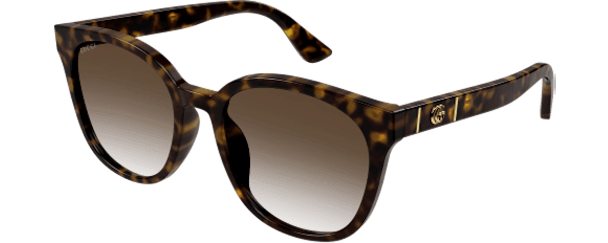 HAVANA / BROWN