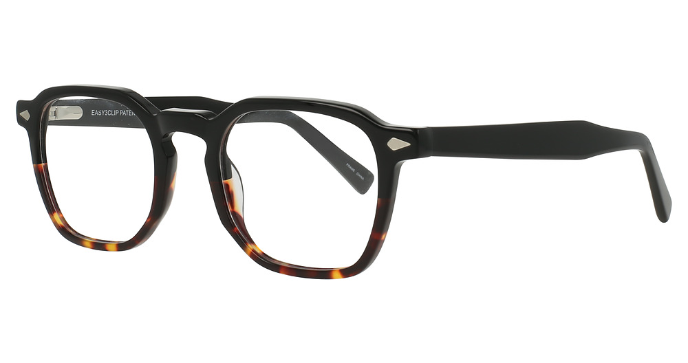 Black & Tortoise