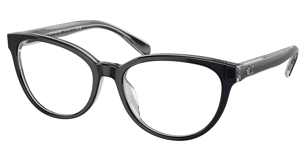 BLACK / TRANSPARENT GREY