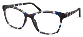 BLUE TORTOISE - SET