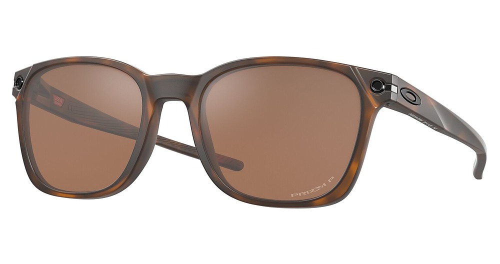 MATTE BROWN TORTOISE / PRIZM TUNGSTEN POLARIZED