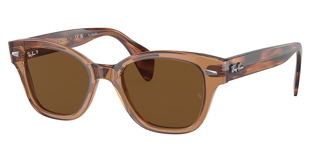 TRANSPARENT BROWN / BROWN POLAR