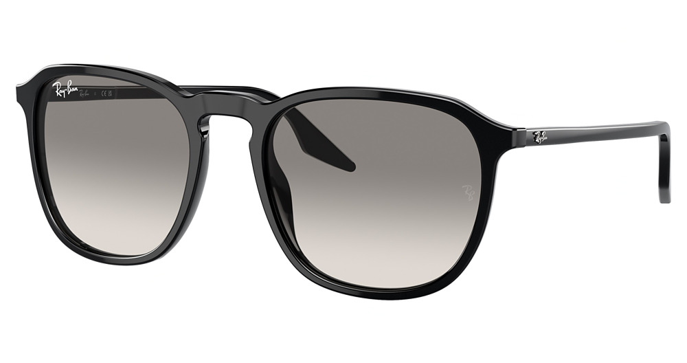 Ray-Ban RB2203 round sunglasses in Black/Clear Gradient Grey
