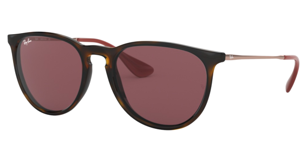 HAVANA / DARK VIOLET