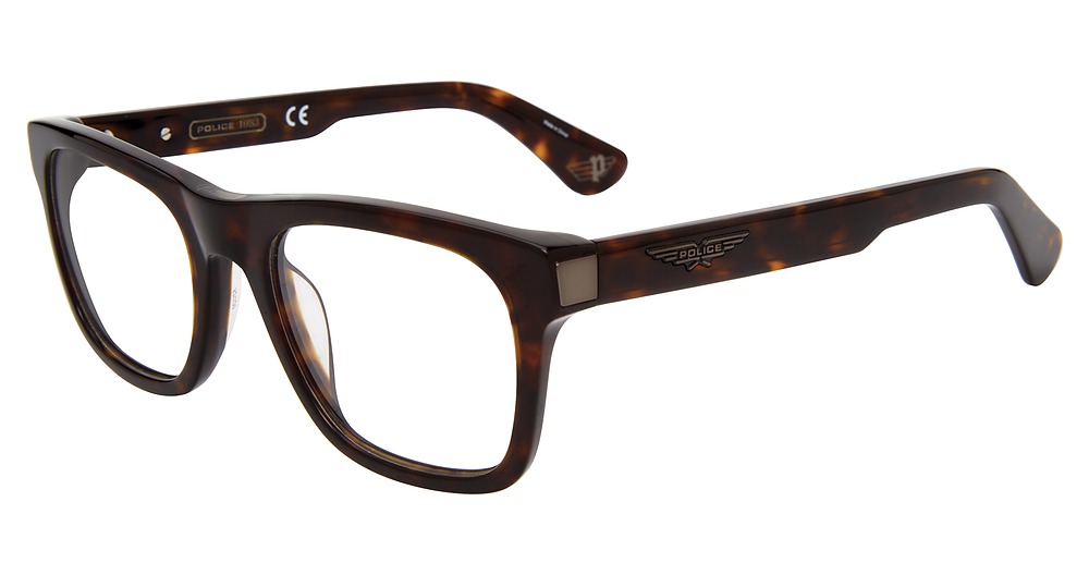 Tortoise 0722