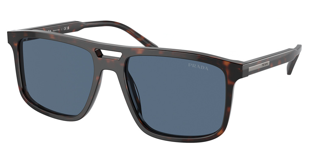 RADICA TORTOISE / DARK BLUE