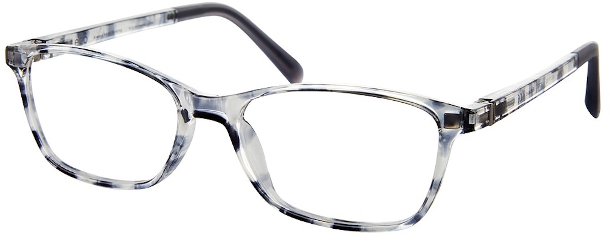 BLUE GREY TORTOISE