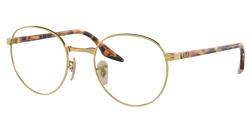 Ray-Ban RX3691VF round eyeglasses in Arista