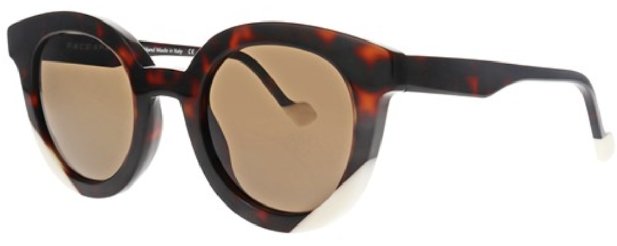 Light Dark Tortoise