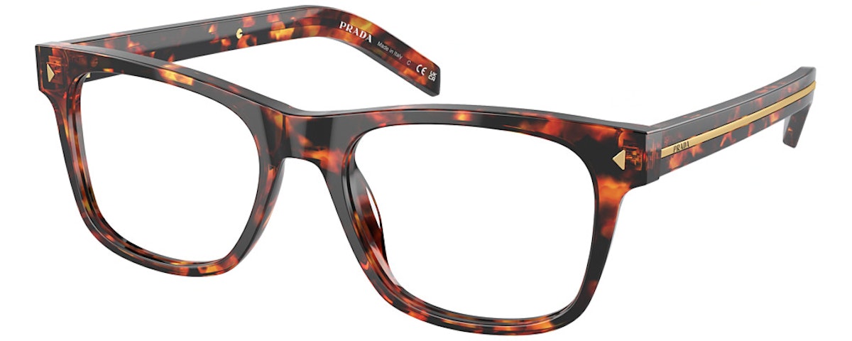 MAGMA TORTOISE