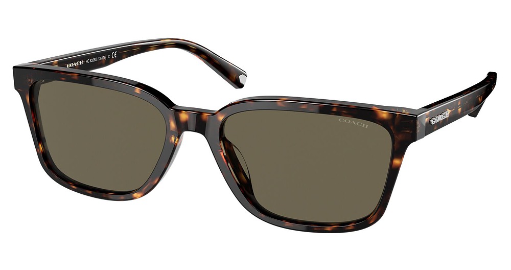 DARK TORTOISE / DARK BROWN SOLID