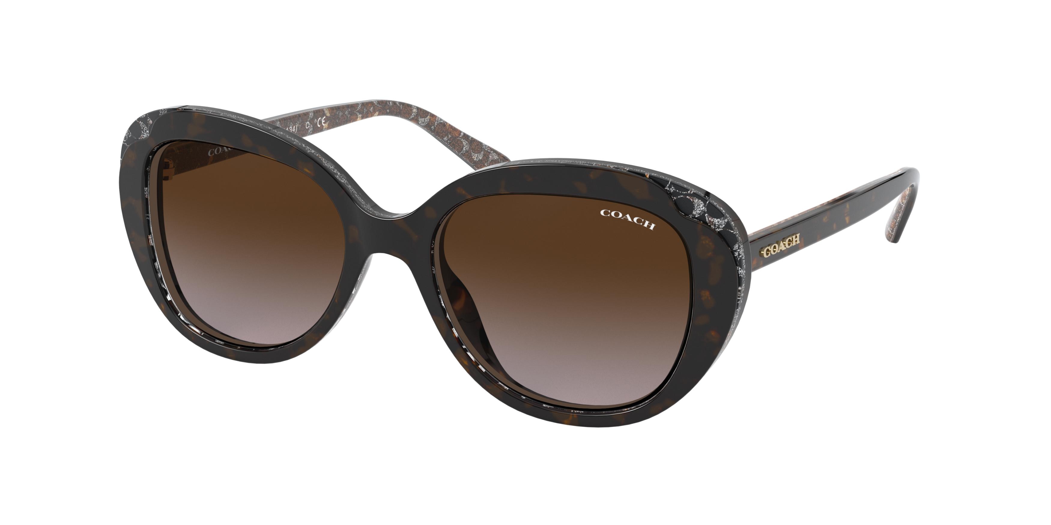TORTOISE GLITTER SIGNATURE C