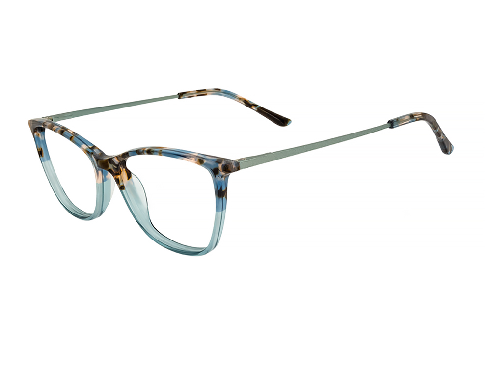 Teal Tortoise