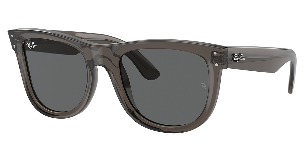 Ray-Ban RBR0502SF WAYFARER REVERSE sunglasses in Transparent Dark Grey/Dark Grey