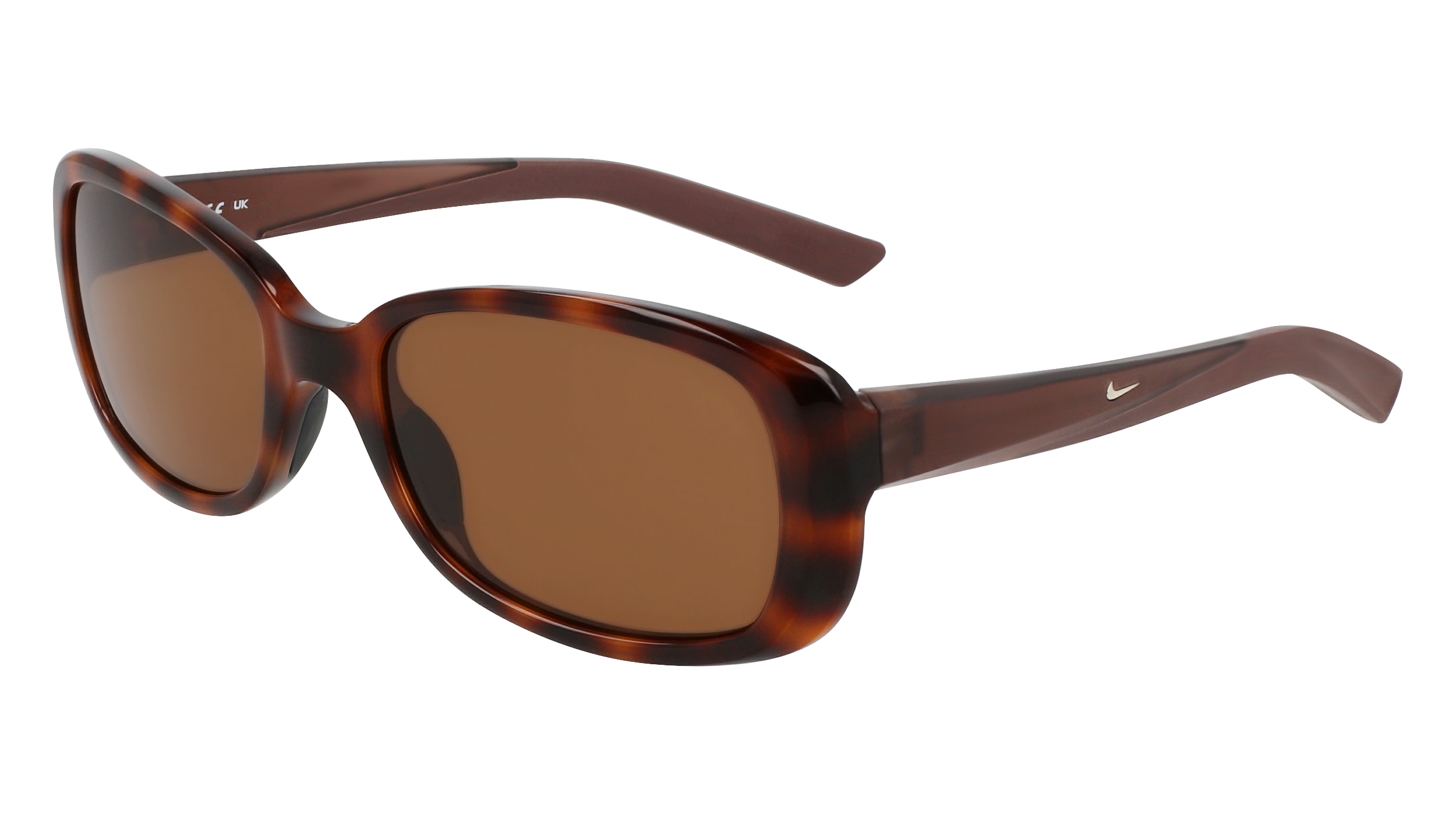 TORTOISE/BROWN