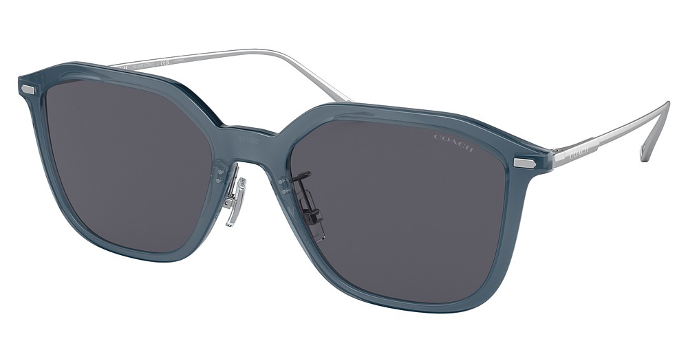 TRANSPARENT DARK BLUE / DARK BLUE SOLID