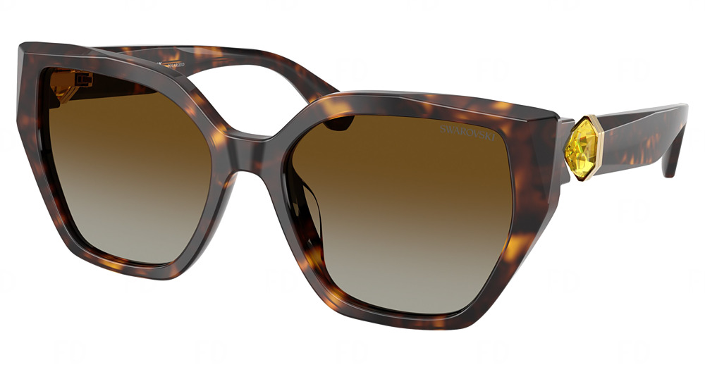 HAVANA / BROWN GRADIENT POLAR