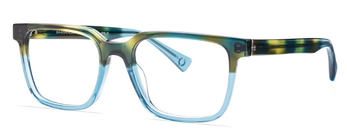 Forest Tortoise over Teal