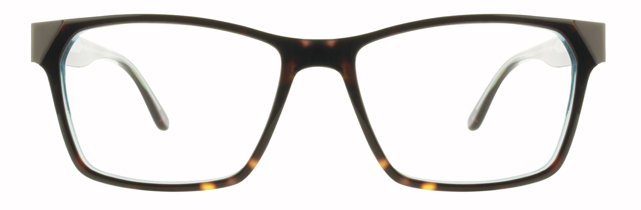 Dark Tortoise / Aqua