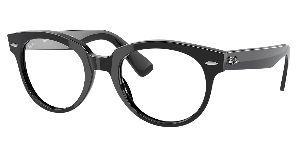 Ray-Ban RX2199VF round eyeglasses in Black