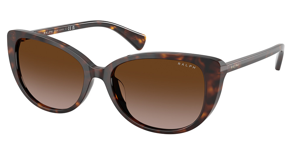 SHINY DARK HAVANA / GRADIENT BROWN