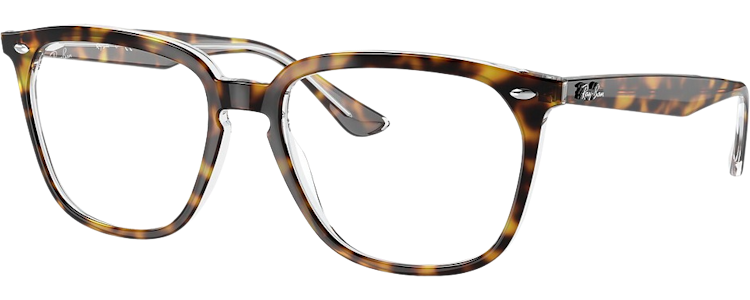 HAVANA ON TRANSPARENT