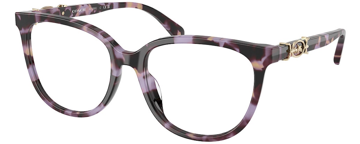 PURPLE TORTOISE