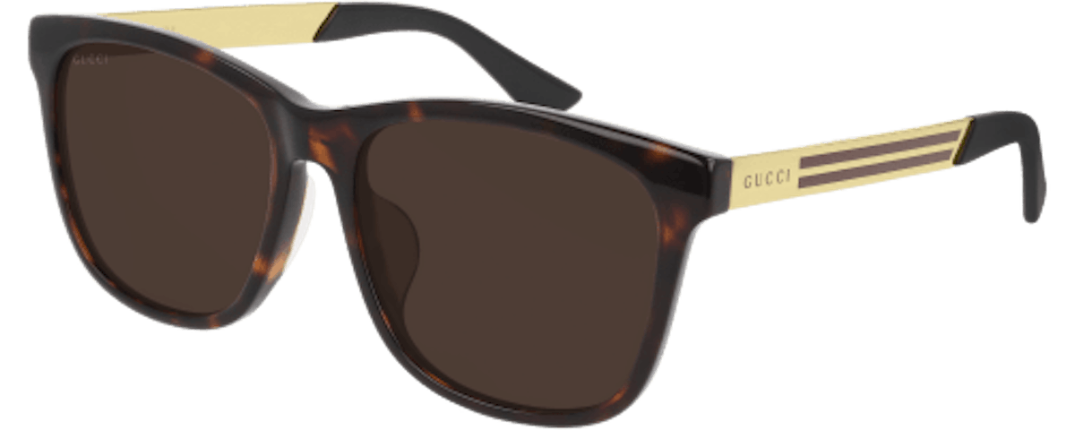HAVANA-GOLD-BROWN / BROWN