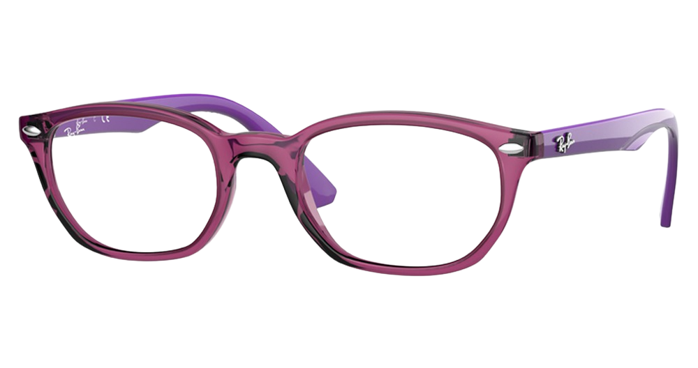 Ray-Ban RY1599 round eyeglasses in Transparent Fuxia