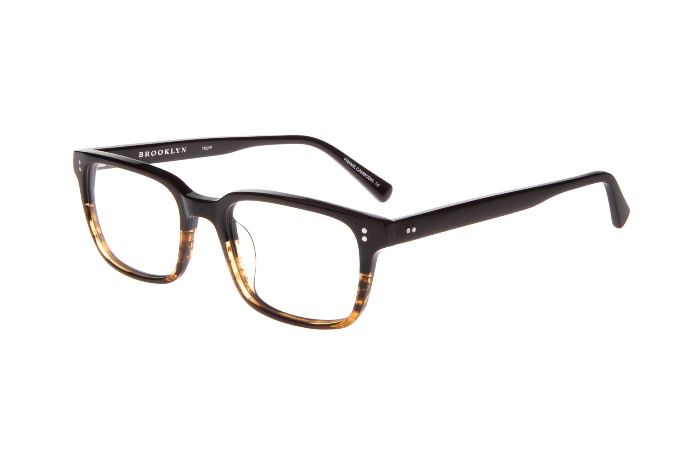 BLACK/TORTOISE