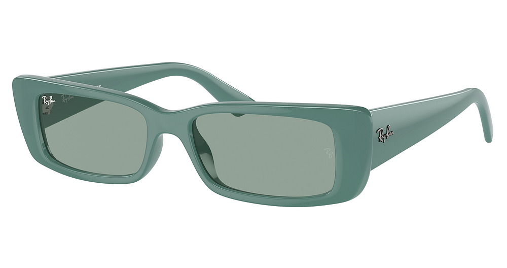 Ray-Ban RB4425F TERU sunglasses in Algae Green/Petrol Green