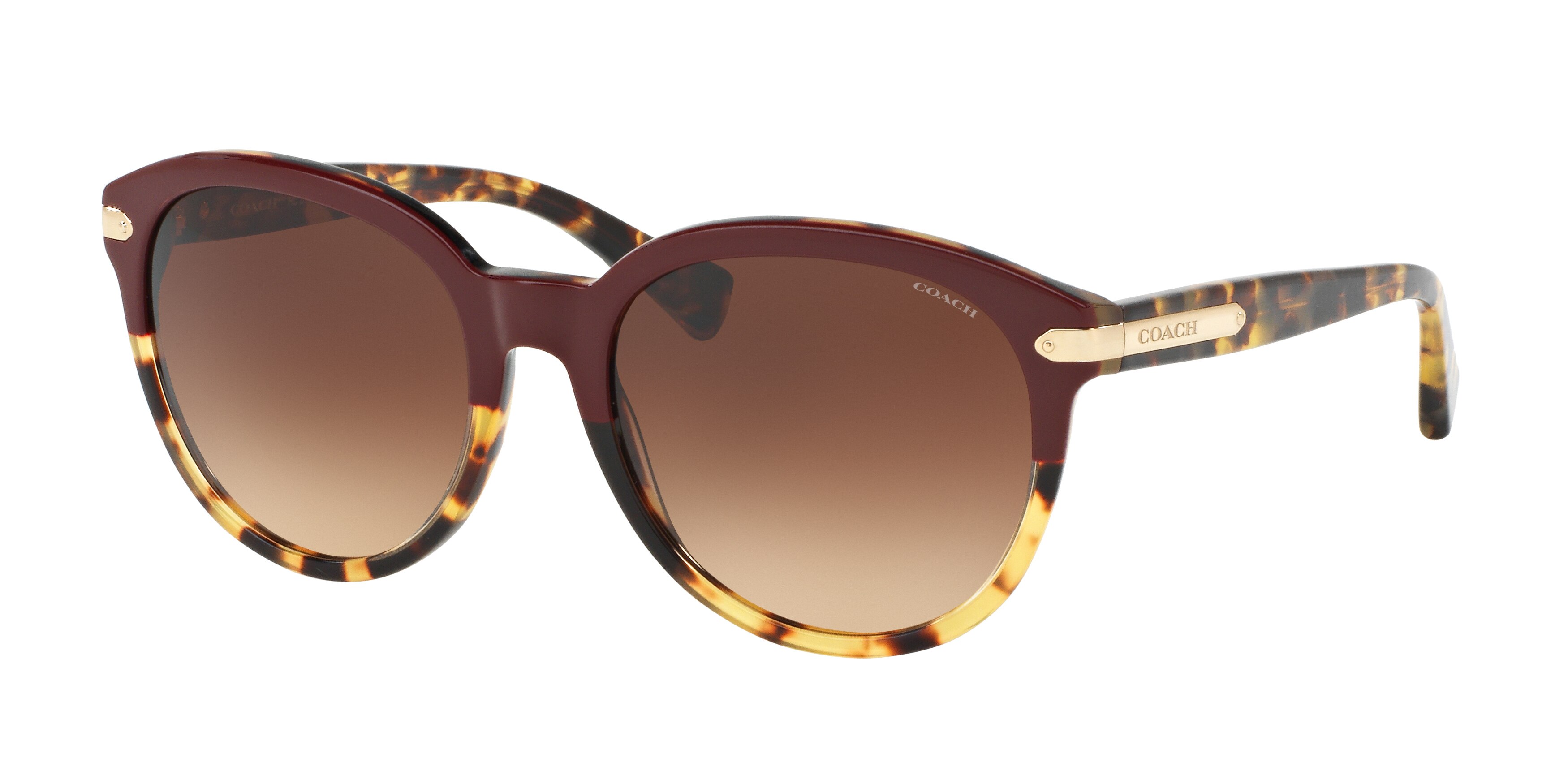 BURGUNDY TORTOISE/TORTOISE