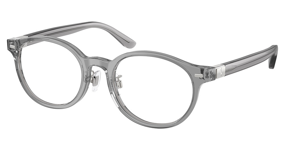 SHINY TRANSPARENT GREY