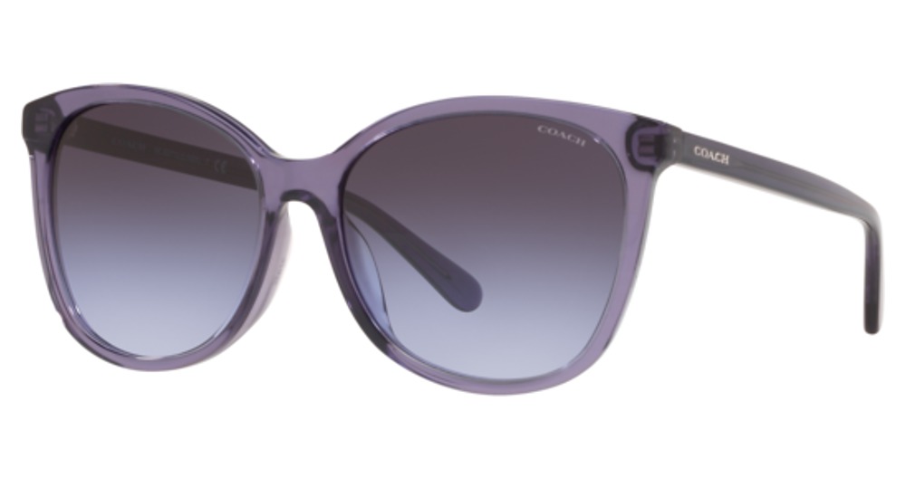 TRANSPARENT PURPLE / PURPLE GRADIENT