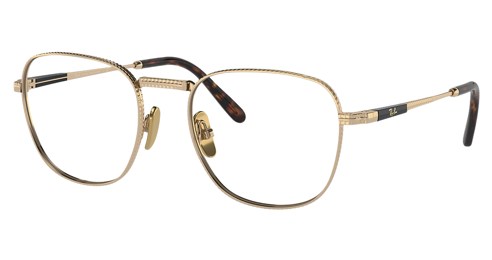Ray-Ban RX8258V FRANK TITANIUM round eyeglasses in Arista