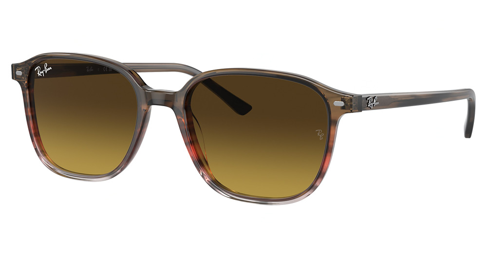 Ray-Ban RB2193F LEONARD round sunglasses in Striped Brown Gradient R/Gradient Brown