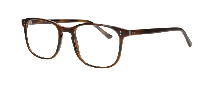 TORTOISE DARK SHINY